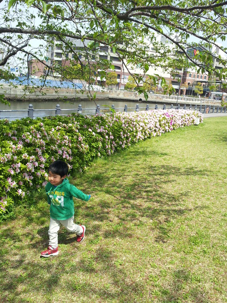 20130416_124451.jpg